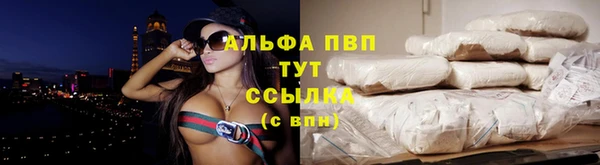 крисы Алексин