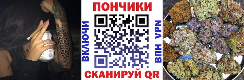 закладка  Чусовой  Шишки марихуана сатива 